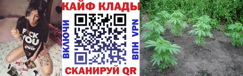 Купить наркоту Пошехонье blacksprut маркетплейс Меф мяу мяу Каннабис Alpha PVP