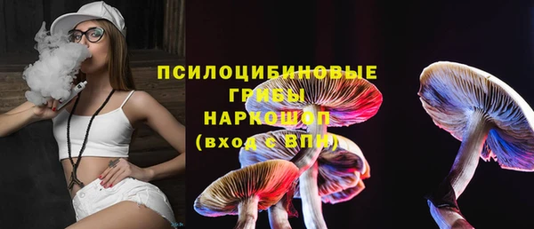 прущие крисы Новодвинск