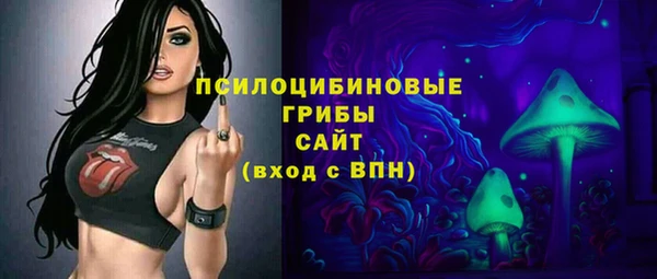 прущие крисы Новодвинск