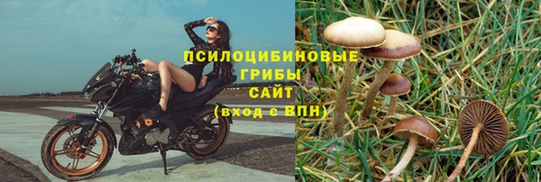 прущие крисы Новодвинск