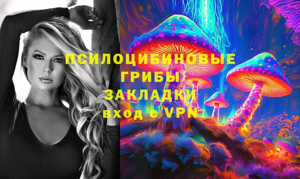 стаф Новозыбков