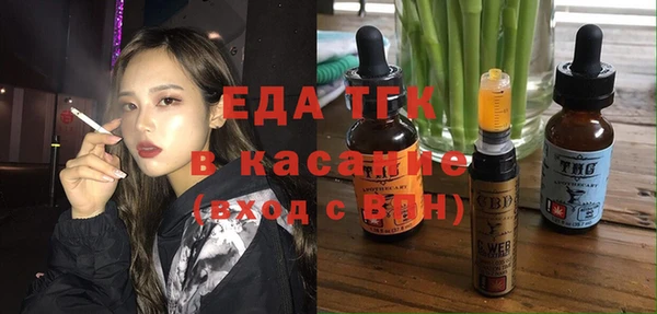стаф Новозыбков