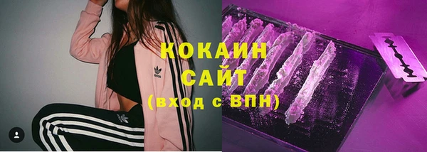 прущие крисы Новодвинск