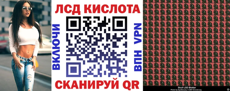 Наркотические марки 1,5мг  KRAKEN ТОР  Пошехонье  где купить наркоту 