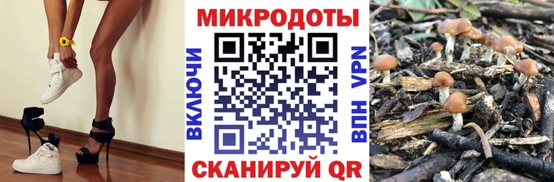 Галлюциногенные грибы ЛСД где купить наркоту Пошехонье